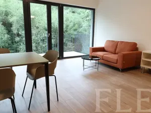 Pronájem bytu 1+kk, Praha - Žižkov, Hartigova, 48 m2