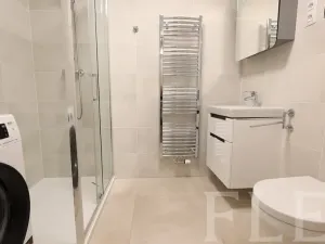 Pronájem bytu 1+kk, Praha - Žižkov, Hartigova, 48 m2