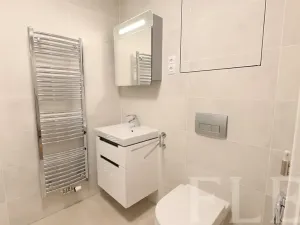 Pronájem bytu 1+kk, Praha - Žižkov, Hartigova, 48 m2