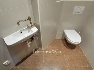 Pronájem bytu 4+kk, Praha - Bubeneč, Havanská, 177 m2