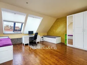 Pronájem bytu 4+kk, Praha - Bubeneč, Havanská, 177 m2