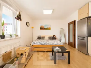 Pronájem bytu 1+kk, Slavkov u Brna, 31 m2