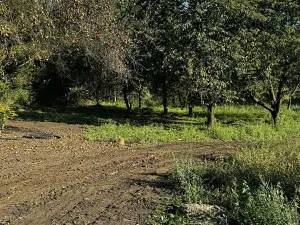 Dražba rodinného domu, Havířov, Stará, 180 m2