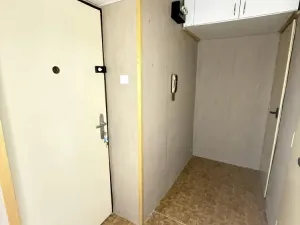Prodej bytu 1+1, Brno - Lesná, Nejedlého, 38 m2