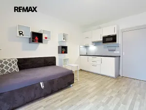 Pronájem bytu 1+kk, Plzeň, Sladová, 26 m2