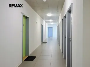 Pronájem bytu 1+kk, Plzeň, Sladová, 26 m2