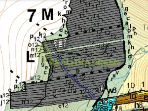 Prodej lesa, Popovice, 3779 m2