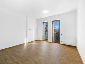 Pronájem bytu 1+kk, Zruč-Senec, Sportovní, 29 m2