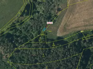 Dražba lesa, Břežany, 33 m2