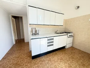 Prodej bytu 1+1, Brno, Nejedlého, 38 m2
