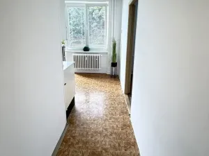 Prodej bytu 1+1, Brno, Nejedlého, 38 m2