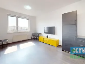 Pronájem bytu 2+kk, Ostrava, Důlní, 55 m2