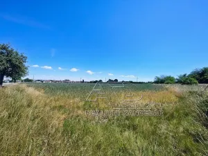 Prodej louky, Vodňany, 3872 m2