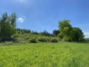Prodej lesa, Kropáčova Vrutice - Sušno, 15167 m2