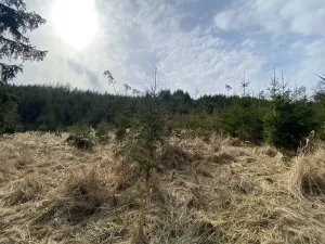Prodej louky, Městečko Trnávka - Lázy, 1410 m2