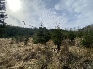 Prodej louky, Městečko Trnávka - Lázy, 1410 m2