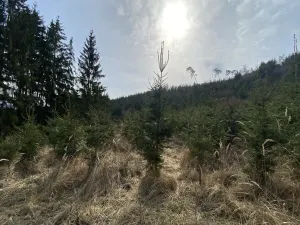 Prodej louky, Městečko Trnávka - Lázy, 1410 m2