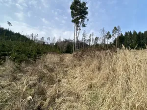 Prodej louky, Městečko Trnávka - Lázy, 1410 m2