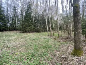 Prodej pozemku, Volfířov - Brandlín, 5958 m2