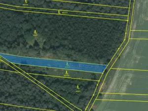 Prodej lesa, Slabčice - Nemějice, 1272 m2