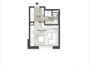 Prodej bytu 1+kk, Liberec, Polní, 33 m2