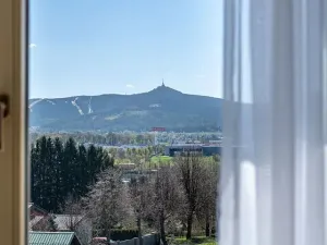 Prodej bytu 1+kk, Liberec, Polní, 33 m2