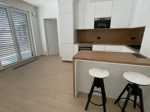 Pronájem bytu 3+kk, Praha - Řeporyje, Haenkeho, 80 m2
