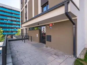 Prodej bytu 4+kk, Praha - Žižkov, Olgy Havlové, 100 m2