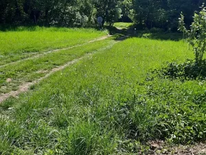 Prodej rybníku, Bulhary, 350 m2