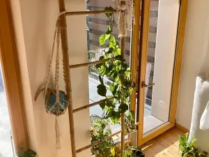 Pronájem bytu 2+kk, Praha - Košíře, Vrchlického, 46 m2