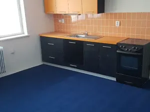 Prodej činžovního domu, Kamenice nad Lipou, Palackého, 200 m2