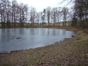 Pronájem rybníku, Třebíč, 4209 m2