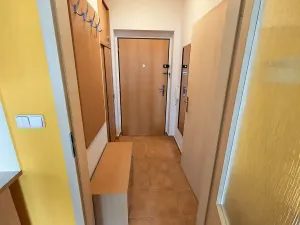 Prodej bytu 1+kk, Zlín, Zelinova, 36 m2