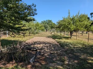 Prodej rodinného domu, Dříteň, 225 m2
