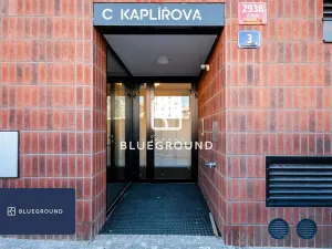 Pronájem bytu 2+kk, Praha - Žižkov, Budovcova, 45 m2