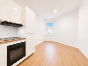 Prodej bytu 2+kk, Praha - Žižkov, Hartigova, 39 m2