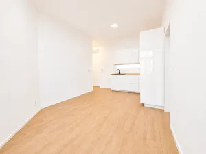 Prodej bytu 2+kk, Praha - Žižkov, Hartigova, 39 m2