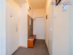 Prodej bytu 3+1, Svitavy - Předměstí, Olbrachtova, 60 m2