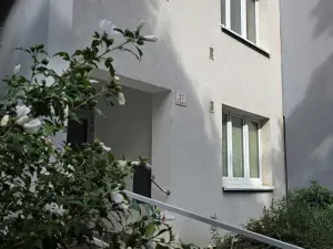 Prodej bytu 2+1, Brno, Souběžná, 55 m2