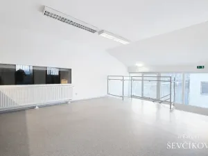 Pronájem obchodního prostoru, Hradec Králové, Vlčkovická, 700 m2