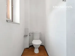 Prodej bytu 2+kk, Praha - Žižkov, Hartigova, 49 m2
