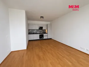 Prodej bytu 2+kk, Ostrava, Velká, 58 m2