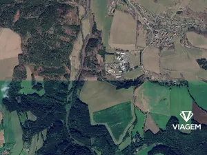 Prodej podílu lesa, Těchonín, 26 m2