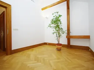 Pronájem atypického bytu, Praha - Josefov, Žatecká, 195 m2