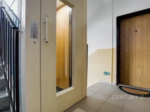 Pronájem bytu 3+1, Děčín, Na Vyhlídce, 64 m2