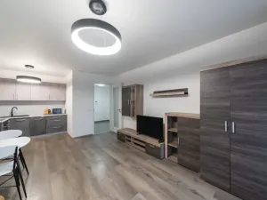 Pronájem bytu 2+kk, Praha - Karlín, Nekvasilova, 67 m2