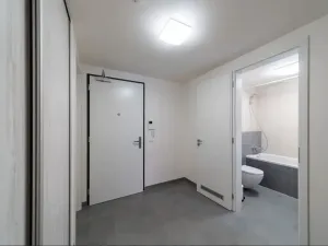 Pronájem bytu 2+kk, Praha - Karlín, Nekvasilova, 67 m2