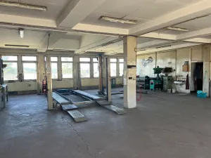 Pronájem obchodního prostoru, Losiná, 721 m2