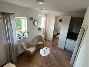 Pronájem bytu 1+kk, Zlín, Hřebíčkova, 20 m2