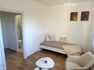 Pronájem bytu 1+kk, Zlín, Hřebíčkova, 20 m2
